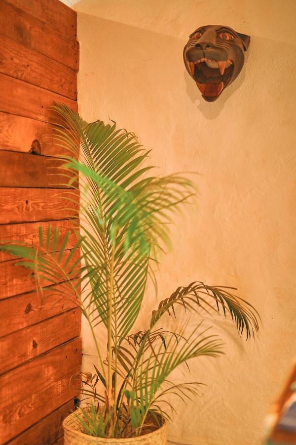 Blue Pepper Beds Sayulita Albergue Exterior foto